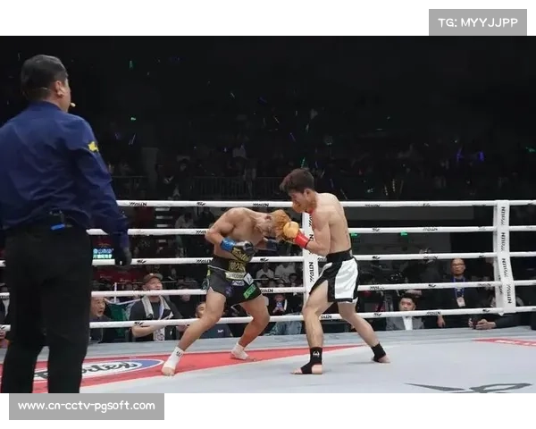 杨胜桥判定胜马达加斯加选手肯尼迪·法布里斯，自由搏击61公斤级取胜