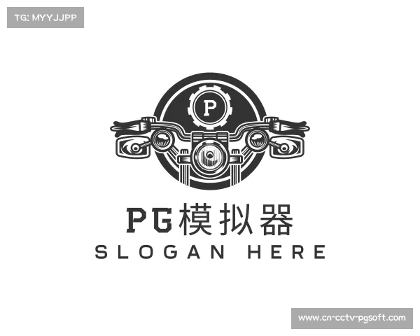 关于pg模拟器